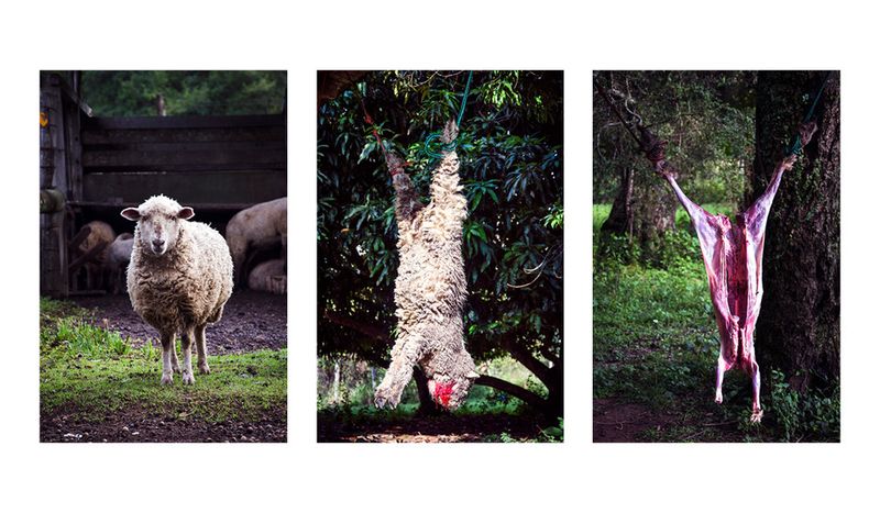 © Marcelo David Sandoval - Image from the The Invisible Ones -a strange documentary into the wetlands photography project