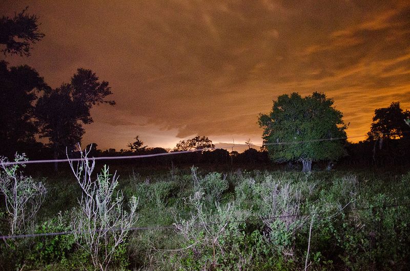© Marcelo David Sandoval - Image from the The Invisible Ones -a strange documentary into the wetlands photography project