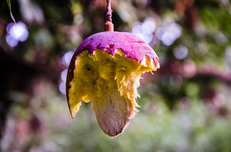 © Marcelo David Sandoval - Image from the The Invisible Ones -a strange documentary into the wetlands photography project