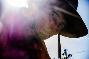 The Invisible Ones -a strange documentary into the wetlands
