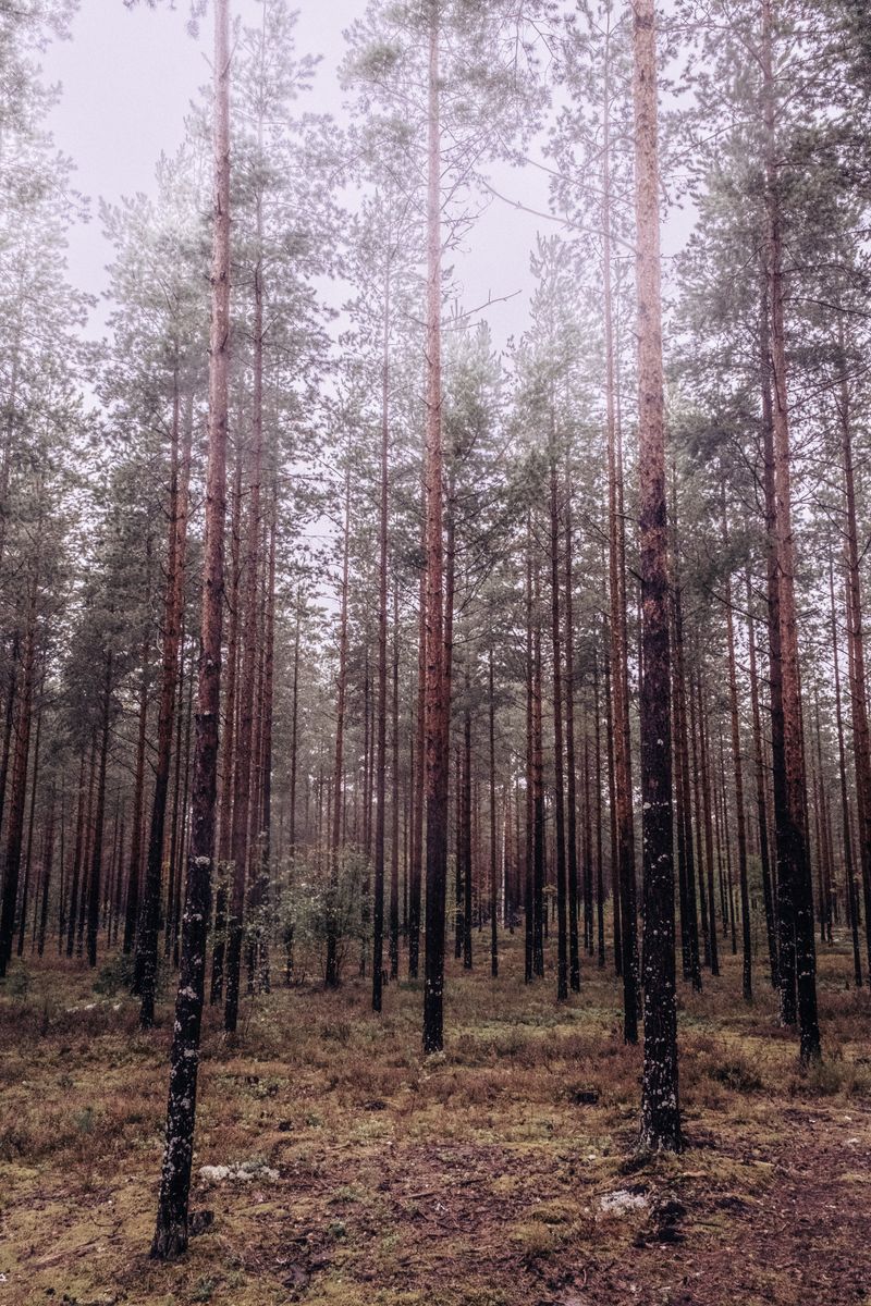 © Emine Gozde Sevim - Image from the Sininen Hetki (Blue Hour) photography project
