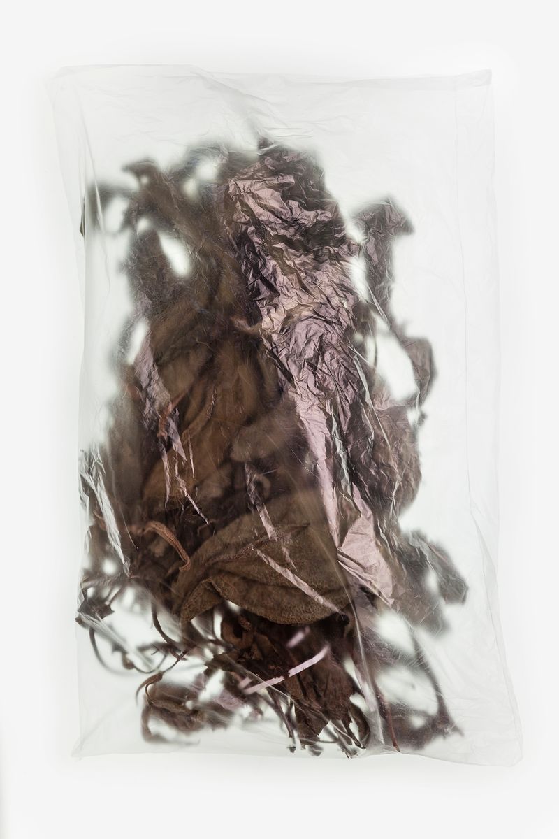 © Solange Adum Abdala - Image from the Medicina photography project