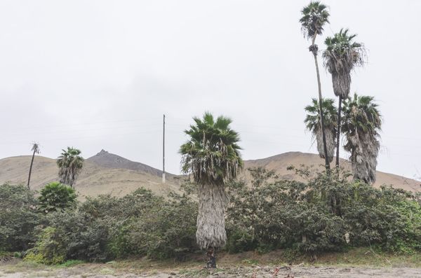 © Solange Adum Abdala - Image from the Perímetro Sur photography project