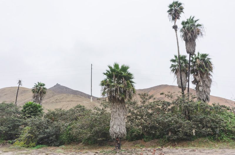 © Solange Adum Abdala - Image from the Perímetro Sur photography project