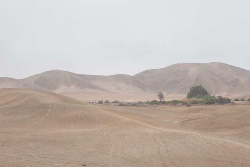 © Solange Adum Abdala - Image from the Perímetro Sur photography project