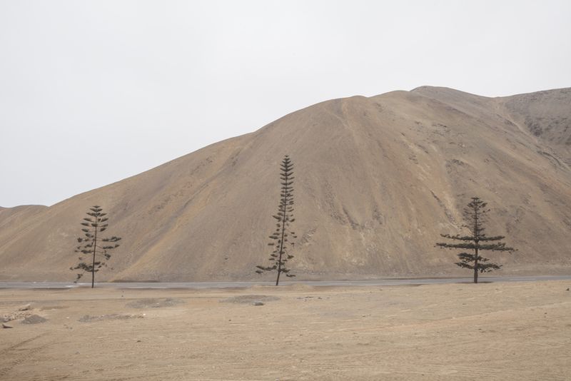 © Solange Adum Abdala - Image from the Perímetro Sur photography project