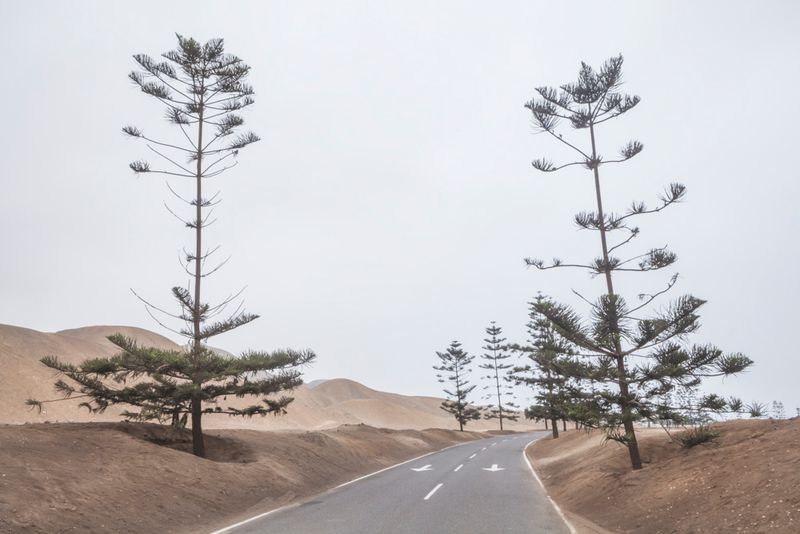 © Solange Adum Abdala - Image from the Perímetro Sur photography project