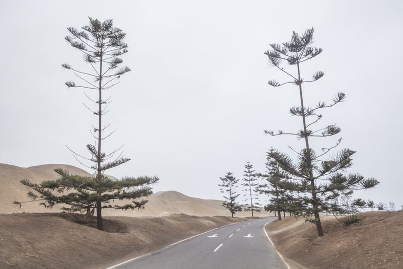 © Solange Adum Abdala - Image from the Perímetro Sur photography project