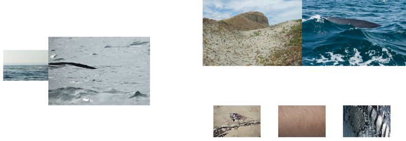 © Solange Adum Abdala - Image from the Monocular photography project