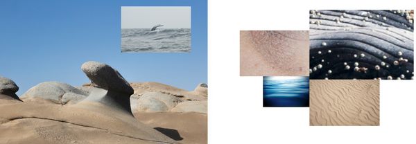 © Solange Adum Abdala - Image from the Monocular photography project