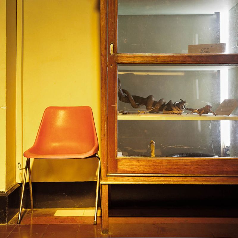 © Solange Adum Abdala - Image from the Historia Natural photography project