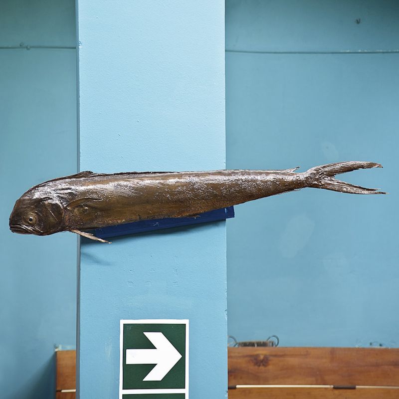 © Solange Adum Abdala - Image from the Historia Natural photography project