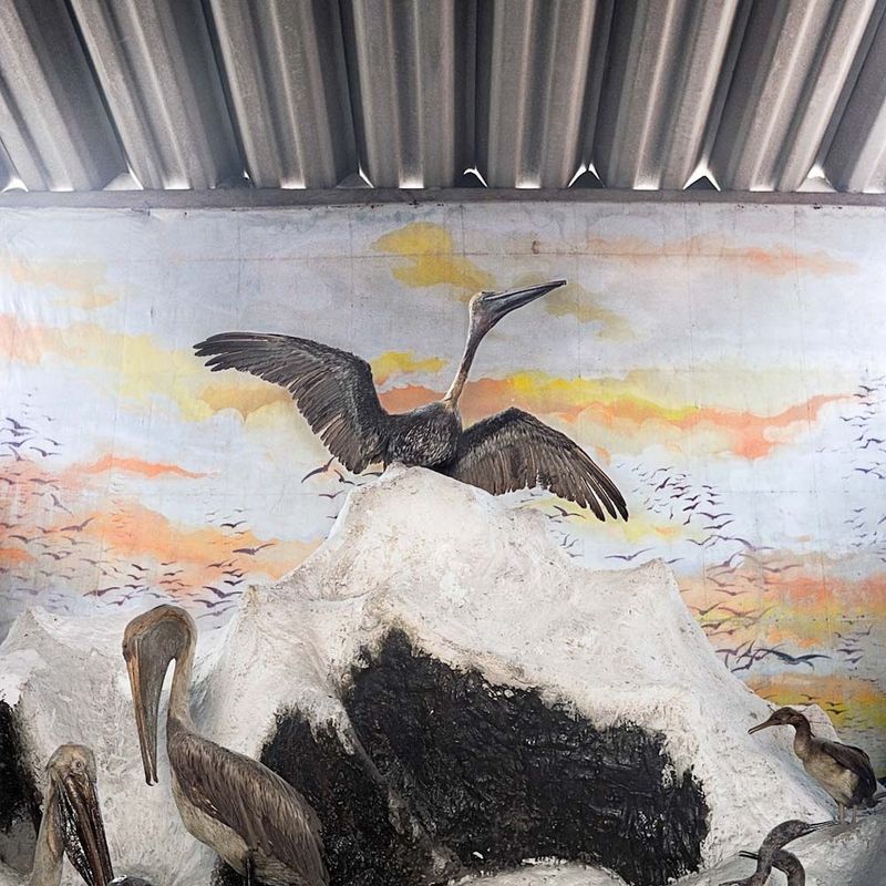 © Solange Adum Abdala - Image from the Historia Natural photography project