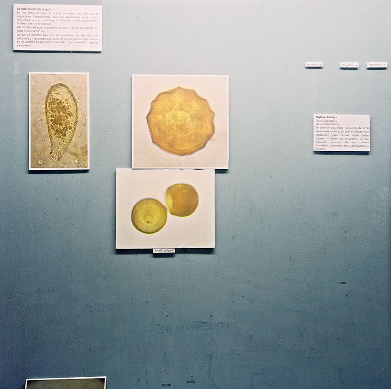 © Solange Adum Abdala - Image from the Historia Natural photography project