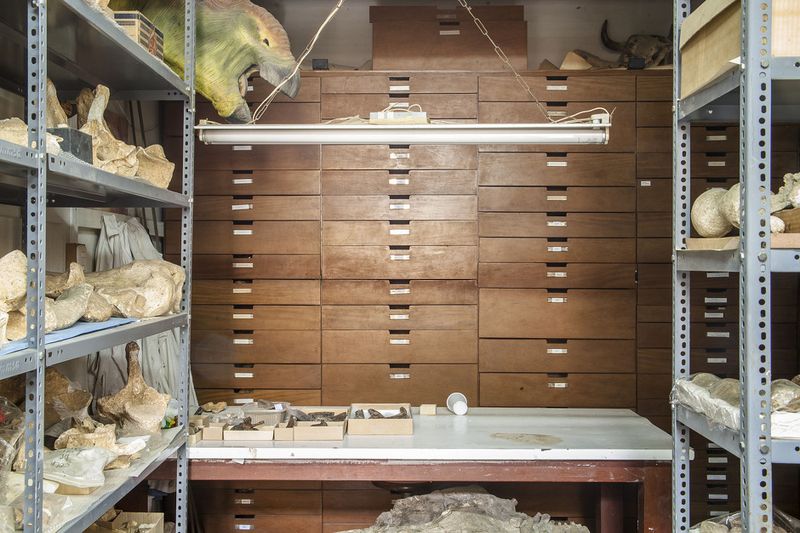 © Solange Adum Abdala - Image from the Colección Natural photography project