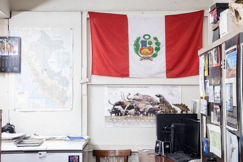 © Solange Adum Abdala - Image from the Colección Natural photography project