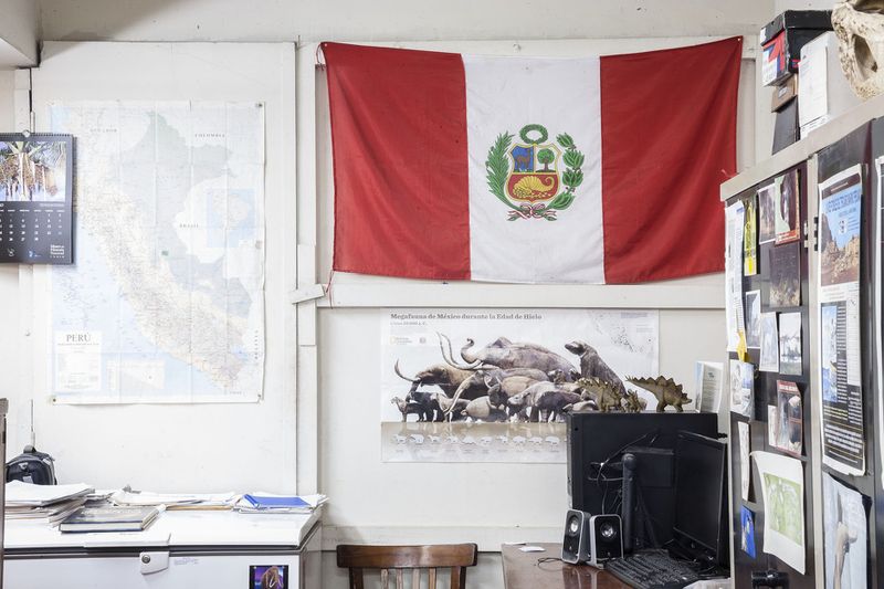 © Solange Adum Abdala - Image from the Colección Natural photography project