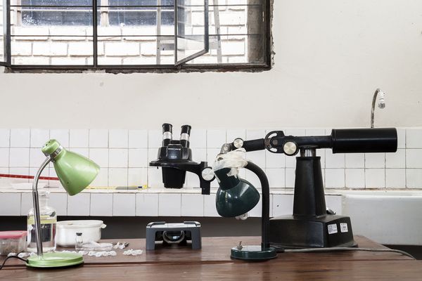 © Solange Adum Abdala - Image from the Colección Natural photography project