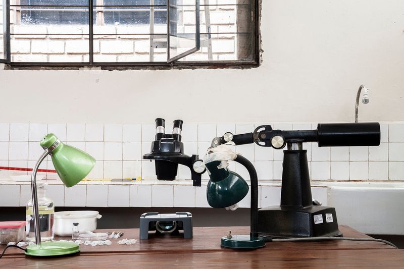 © Solange Adum Abdala - Image from the Colección Natural photography project