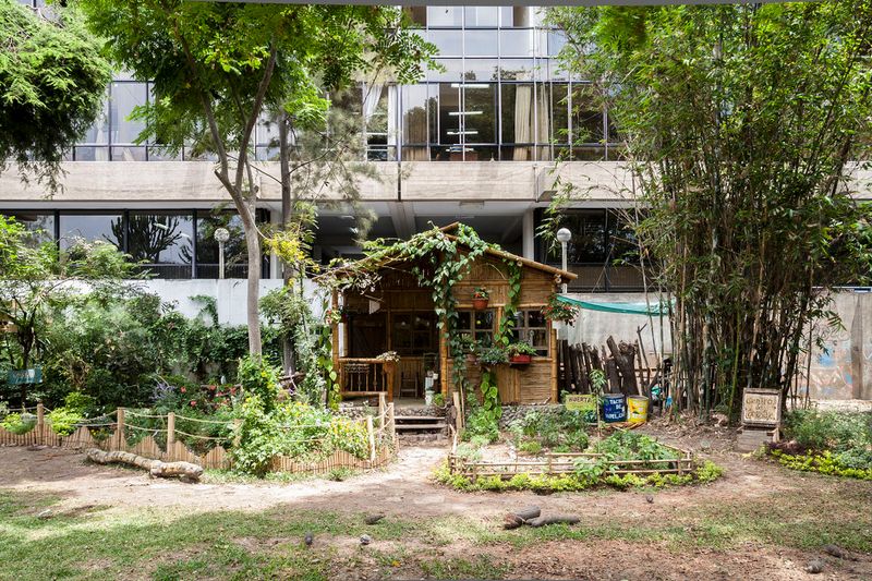 © Solange Adum Abdala - Image from the Colección Natural photography project