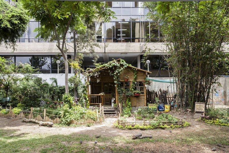 © Solange Adum Abdala - Image from the Colección Natural photography project