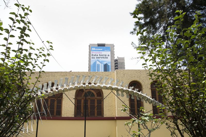 © Solange Adum Abdala - Image from the Colección Natural photography project