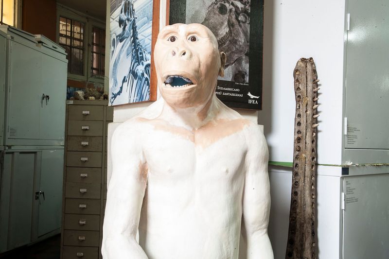 © Solange Adum Abdala - Image from the Colección Natural photography project