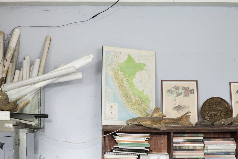 © Solange Adum Abdala - Image from the Colección Natural photography project