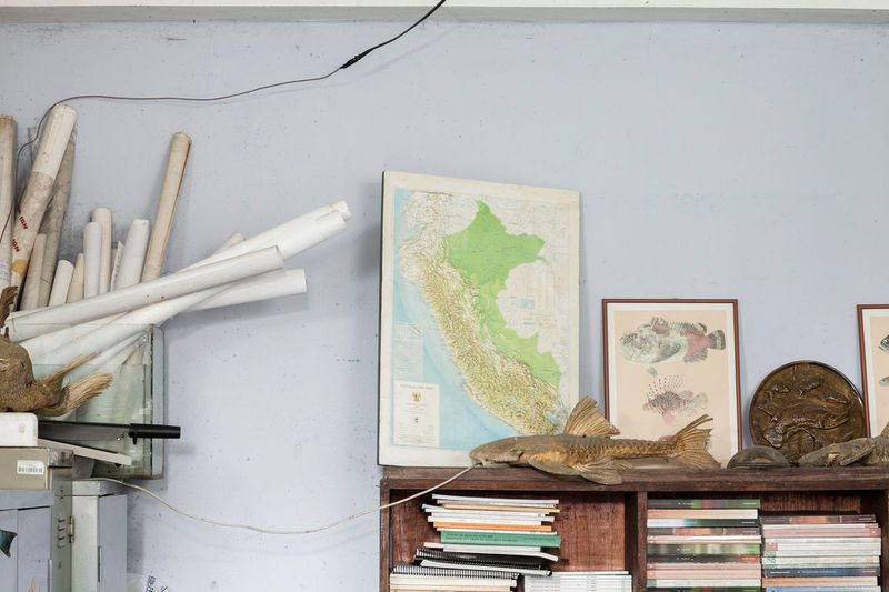 © Solange Adum Abdala - Image from the Colección Natural photography project