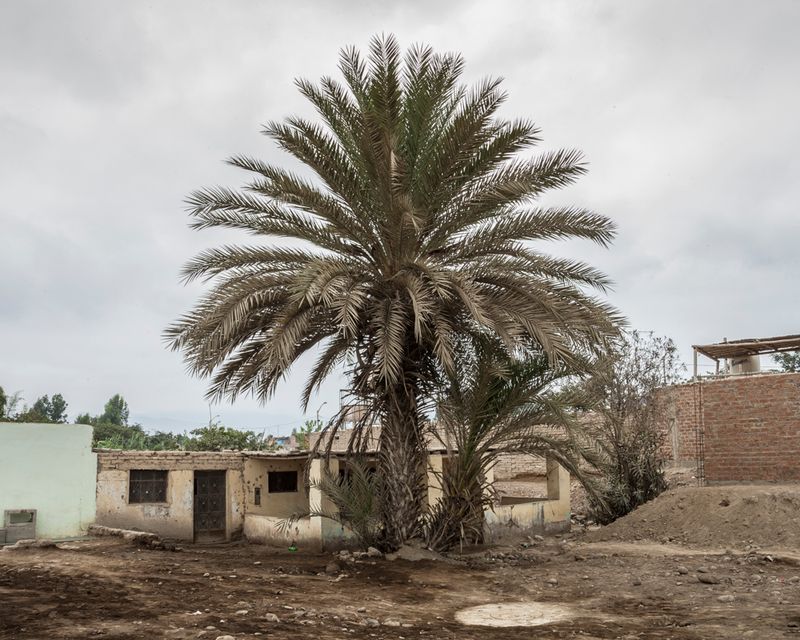 © Solange Adum Abdala - Image from the El Guayabo photography project