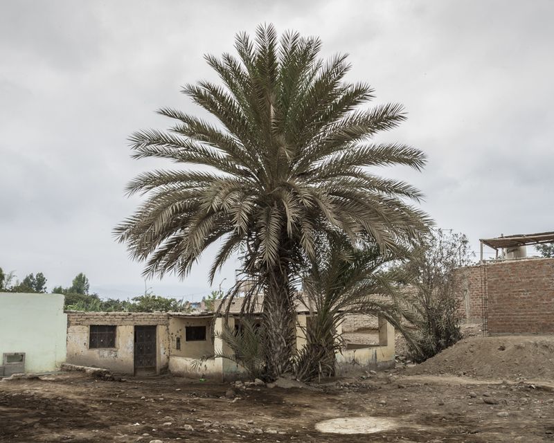 © Solange Adum Abdala - Image from the El Guayabo photography project