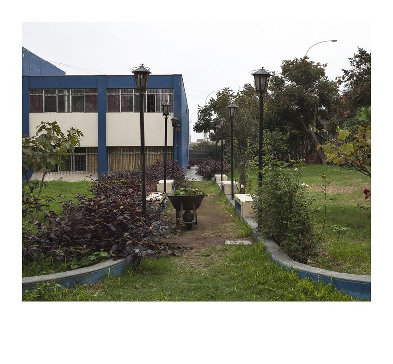 © Solange Adum Abdala - Image from the Cuidad Universitaria photography project