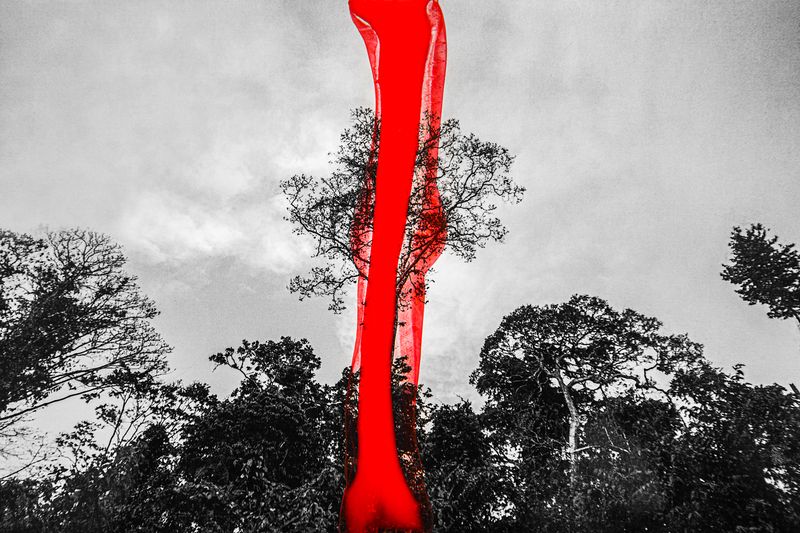 © Solange Adum Abdala - Image from the La conversión de la huella photography project