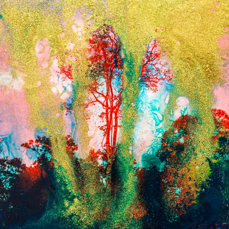 © Solange Adum Abdala - Image from the La conversión de la huella photography project