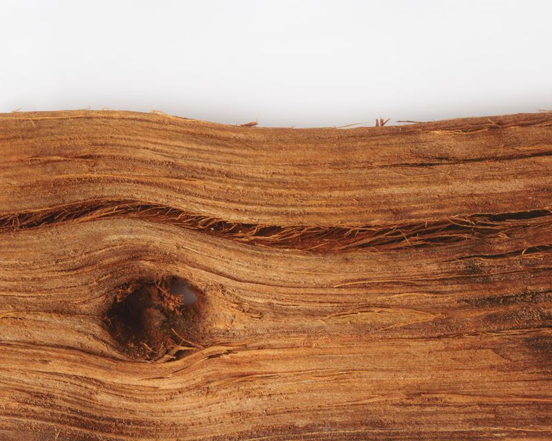 © Solange Adum Abdala - Image from the Sana photography project