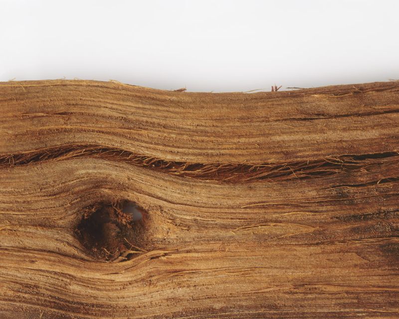 © Solange Adum Abdala - Image from the Sana photography project