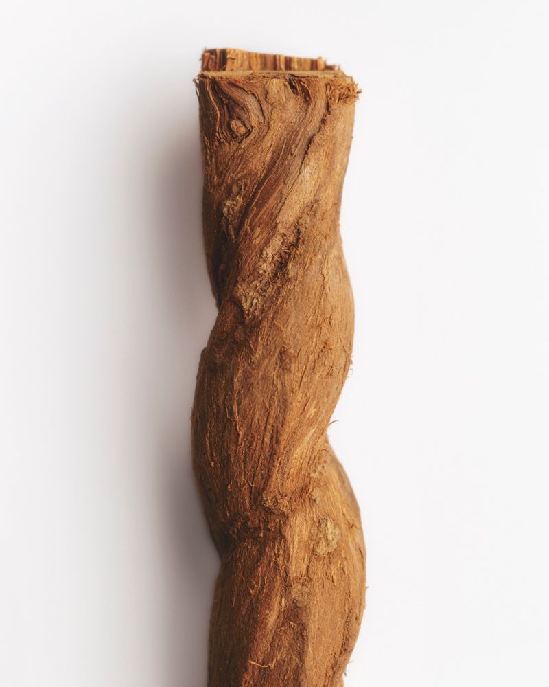 © Solange Adum Abdala - Image from the Sana photography project