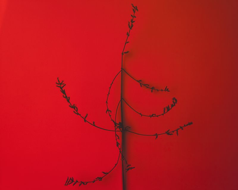 © Solange Adum Abdala - Image from the Sana photography project