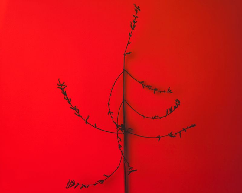 © Solange Adum Abdala - Image from the Sana photography project