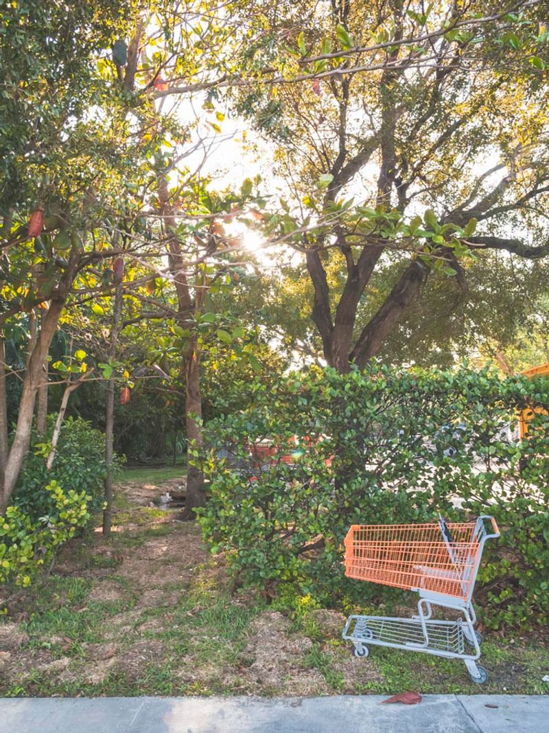 © Solange Adum Abdala - Image from the Swamp city photography project