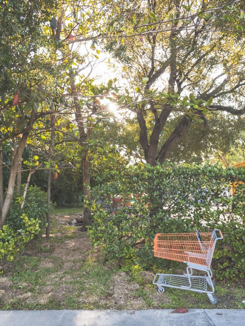 © Solange Adum Abdala - Image from the Swamp city photography project