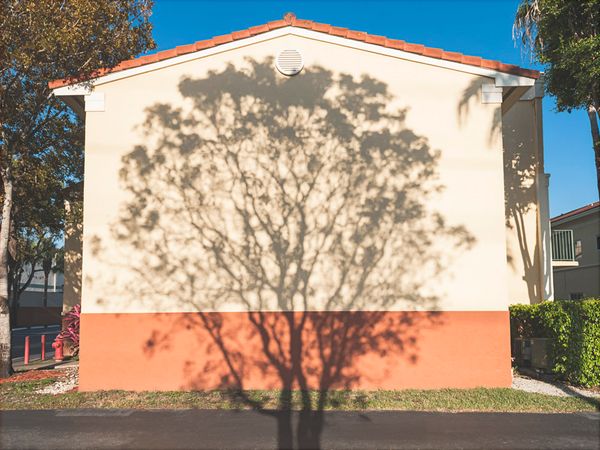 © Solange Adum Abdala - Image from the Swamp city photography project