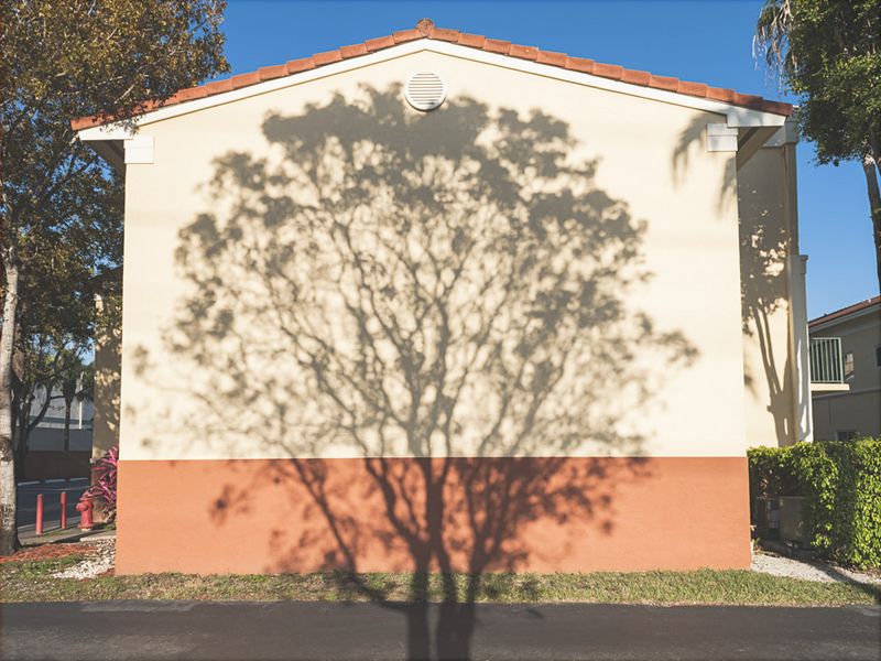 © Solange Adum Abdala - Image from the Swamp city photography project