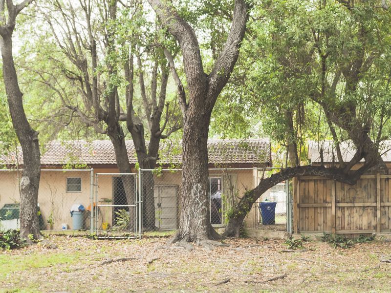 © Solange Adum Abdala - Image from the Swamp city photography project