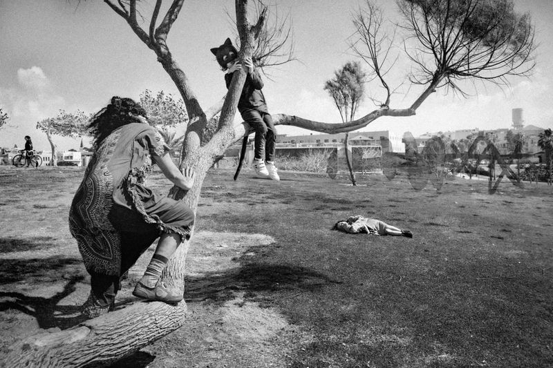 © michal baratz koren - The Sphinx // What Was the Question Again