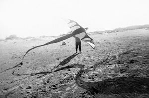 MAYBE I SAW AN ANGEL