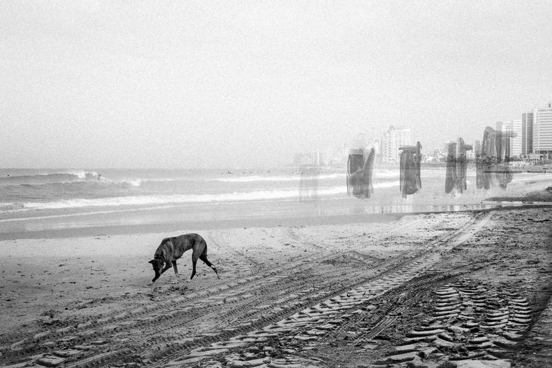 © Michal Baratz Koren - Cerberus // End of the World