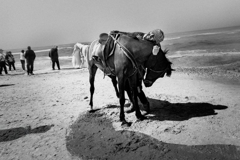 © Michal Baratz Koren - Bellerophon // Sky's the Limit