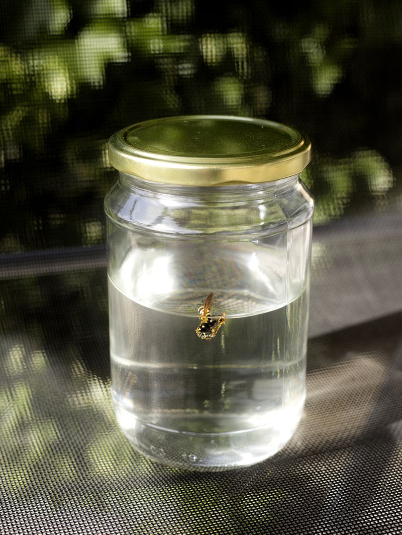 © Eva Vei - Image from the Present Griefs, Recent Disappointments photography project