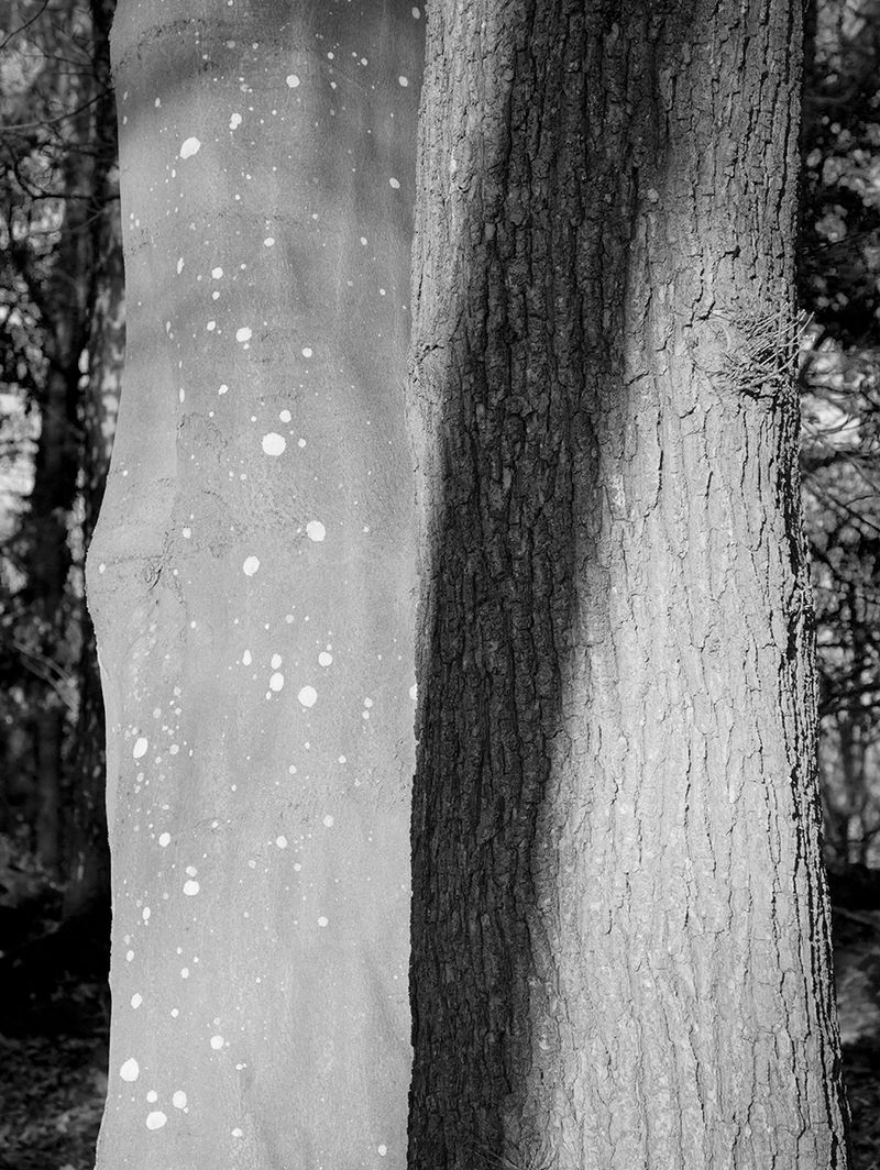 © Eva Vei - Image from the Touch the floor and lick your finger photography project